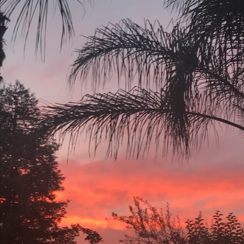 Meet your Posher, Aryanna